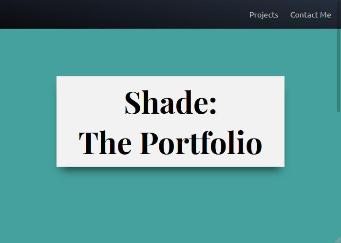portfolio project preview